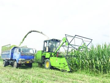 青島加速建設(shè)全國主要農(nóng)作物生產(chǎn)全程機(jī)械化示范市 農(nóng)業(yè)機(jī)械制造迎來新機(jī)遇